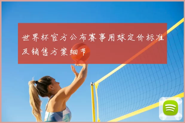 世界杯官方公布赛事用球定价标准及销售方案细节