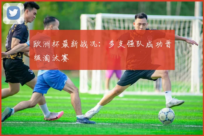 欧洲杯最新战况:多支强队成功晋级淘汰赛