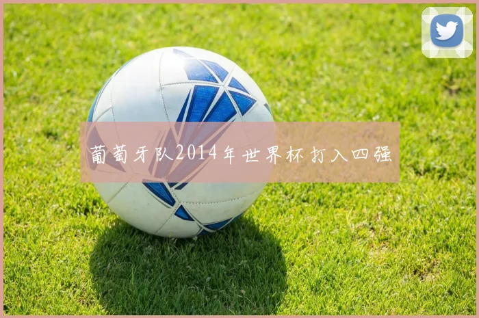 葡萄牙队2014年世界杯打入四强