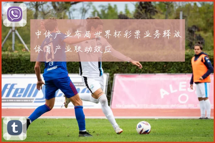中体产业布局世界杯彩票业务释放体育产业联动效应